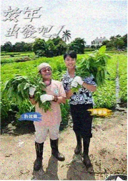 51吃瓜视频综艺烟火人间录名场面